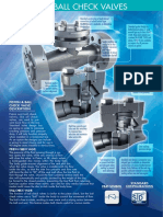 Piston & Ball Check Valves