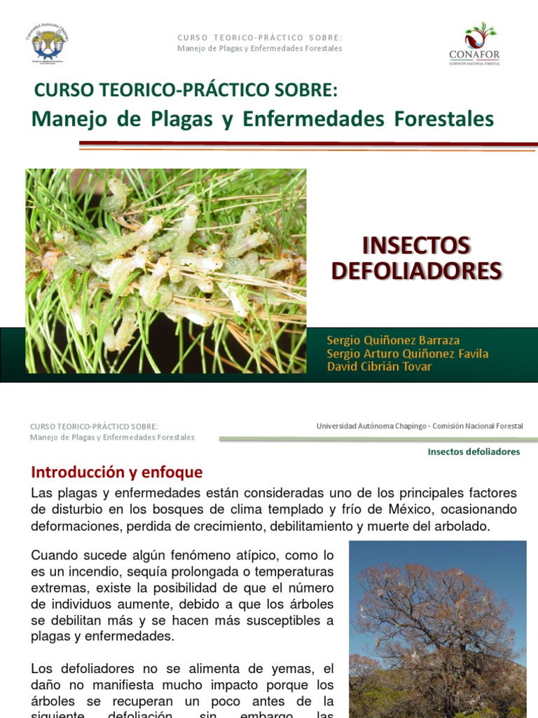 Manejo de Insectos Defoliadores en Bosques | PDF | Control biológico de ...