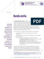 Backgrounder WTPF 13 Broadband Es PDF