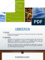 Administración de Programas de Higiene y Seguridad Industrial-PEÑA MORALES MABEL