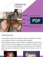 Dermatitis Alérgicas en Perros y Gatos