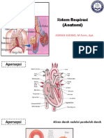5. Sistem Respirasi (Anatomi).pptx