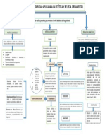 Mapa Conceptual