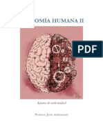 Anatomia Humana II