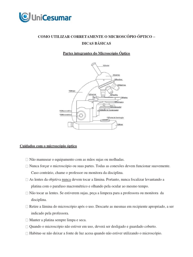 Como Utilizar Corretamente O Microscópio óptico Dicas Básicas De