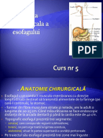 Curs 05 - Patologia Chirurgicala a Esofagului