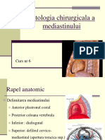 Curs 06 - Patologia Chirurgicala a Mediastinului