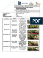 Bitácora de Actividades Semanales Orquidia