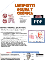 Laringitis aguda y crónica: causas, síntomas y tratamiento