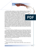Calamar PDF