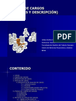 Analisis de Cargos PDF