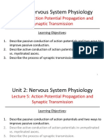 5 - Action Potential Propagation and Synpatic Transmission