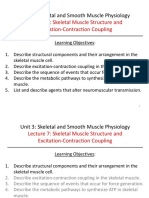 7 - Skeletal Muscle Structure and EC Coupling PDF