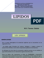 Lipidos 120305202613 Phpapp01