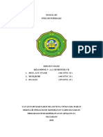 K3 - Pneumothoraks