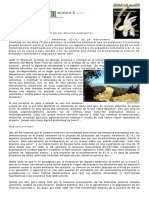 Dialnet UnPasoMas 2348986 PDF