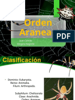 Orden Araneae 2018 PDF