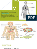Lymphatic System Report