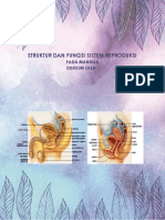 Struktur dan Fungsi Sistem Reproduksi Manusia