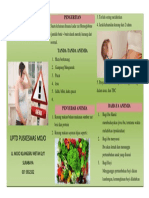 Leaflet Anemia Bumil Depan