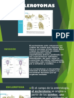 ESCLEROTOMAS