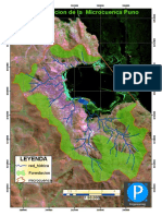 MICROCUENCA PUNO