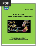 Bsczo 102 PDF