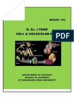 Bsczo 102 PDF