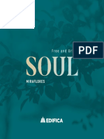 Brochure Soul
