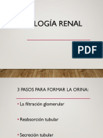 Filtrado Glomerular