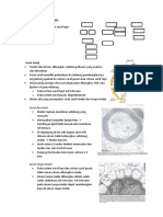 Histologi Sistem Saraf Tepi