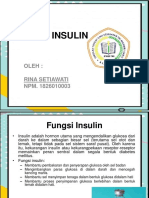 Rina Insulin