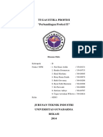 Perbandingan Standar Profesi IT Di Indon PDF