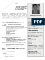 Curriculum Vitae PDF