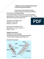 Materi Genetik