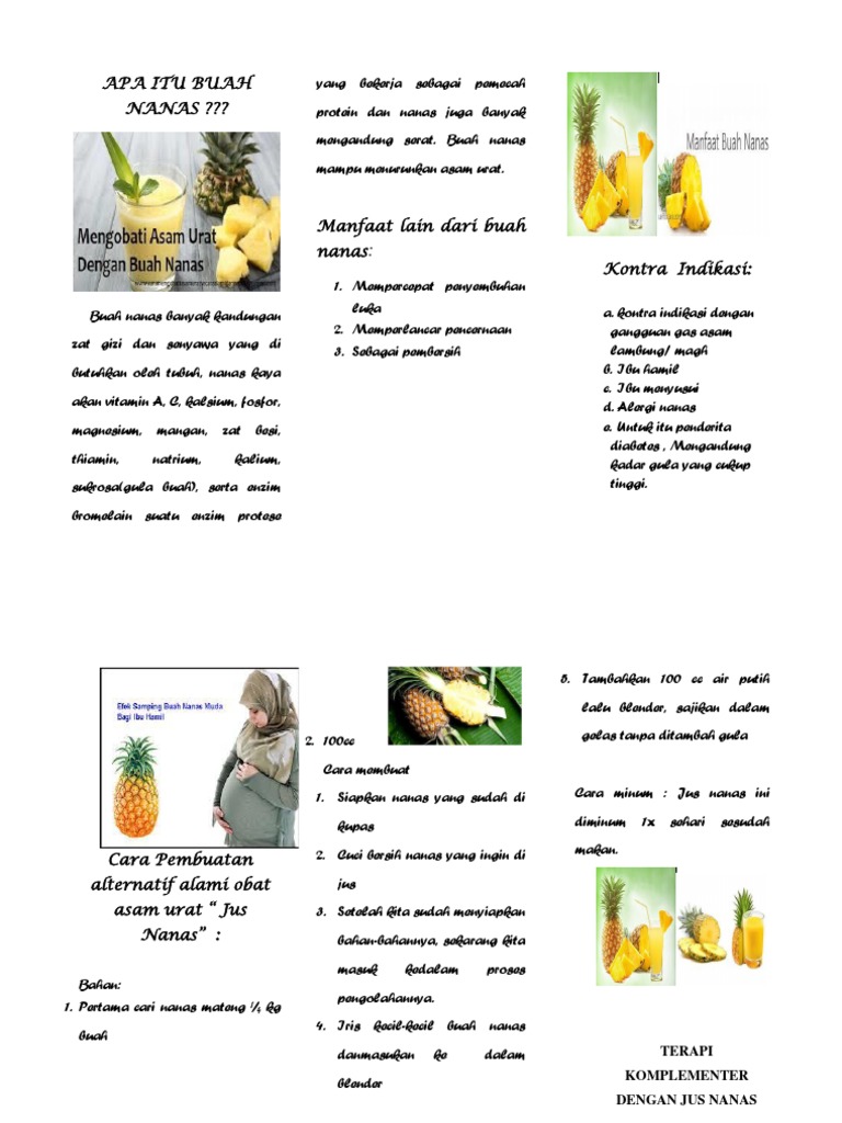 Leaflead Buah Nanas Asam Urat | PDF