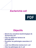 Escherichia coli (2016).pdf