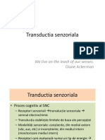 Curs 1 Analizatori PDF