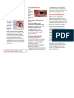 Leaflet Kunjungtivitis