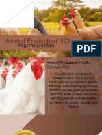 Animal Production NCII