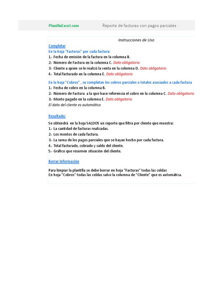 Planilla de Excel de Reporte de Facturas | PDF | Business