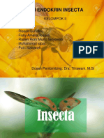 Sistem Endokrin Insecta