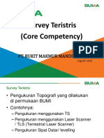 Survey Teristris PDF