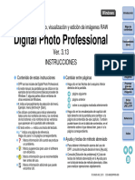 DPP3.13W_S_00.pdf
