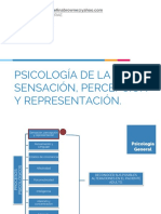 Clase Sensacion Percepcion y Representacion PDF