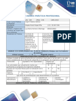 Anexo 2 Formato Avance Práctica Angela PDF