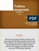 Traktus Tectospinalis (2A) PDF