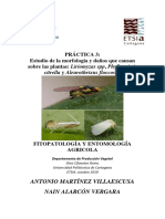 Practica 3 - PDF