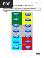 BGP Route Reflector Lab PDF