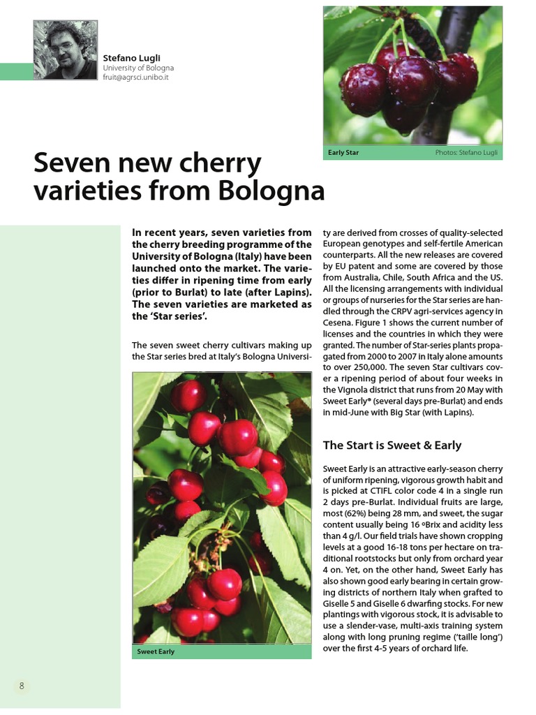 Seven New Cherry Varieties From Bologna PDF Vegan Cuisine Trees